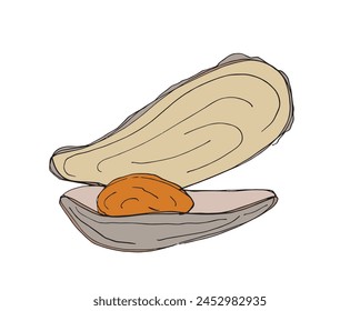 Outline illustration vector image of an oyster.
Hand drawn artwork of an oyster.
Simple cute original logo.
Hand drawn vector illustration for posters.