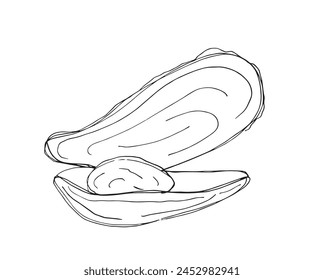 Outline illustration vector image of an oyster.
Hand drawn artwork of an oyster.
Simple cute original logo.
Hand drawn vector illustration for posters.