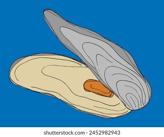 Outline illustration vector image of an oyster.
Hand drawn artwork of an oyster.
Simple cute original logo.
Hand drawn vector illustration for posters.