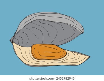 Outline illustration vector image of an oyster.
Hand drawn artwork of an oyster.
Simple cute original logo.
Hand drawn vector illustration for posters.