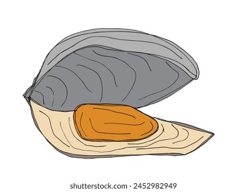 Outline illustration vector image of an oyster.
Hand drawn artwork of an oyster.
Simple cute original logo.
Hand drawn vector illustration for posters.