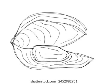 Outline illustration vector image of an oyster.
Hand drawn artwork of an oyster.
Simple cute original logo.
Hand drawn vector illustration for posters.