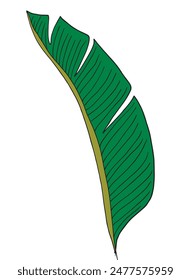 Outline illustration vector image of a palm leaf.
Hand drawn artwork of a palm leafs.
Simple cute original logo.
Hand drawn vector illustration for posters.