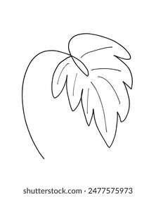 Outline illustration vector image of a palm leaf.
Hand drawn artwork of a palm leafs.
Simple cute original logo.
Hand drawn vector illustration for posters.