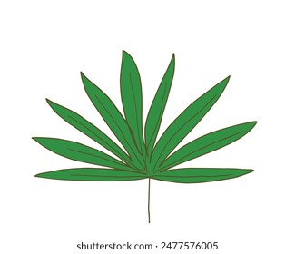 Ilustración de contorno Imagen de Vector de una hoja de palma.
Dibujado a mano de una hoja de palma.
Simple lindo logotipo original.
Ilustración vectorial dibujada a mano para carteles.