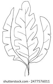Umriss Illustration Vektorgrafik Bild eines Palmblattes.
Handgezeichnetes Kunstwerk einer Palme Blätter.
Einfaches, niedliches Original-Logo.
Handgezeichnete Vektorillustration für Poster.