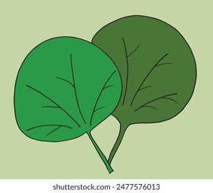 Outline illustration vector image of a palm leaf.
Hand drawn artwork of a palm leafs.
Simple cute original logo.
Hand drawn vector illustration for posters.