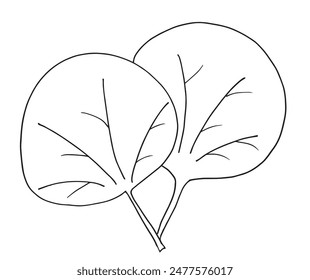 Outline illustration vector image of a palm leaf.
Hand drawn artwork of a palm leafs.
Simple cute original logo.
Hand drawn vector illustration for posters.