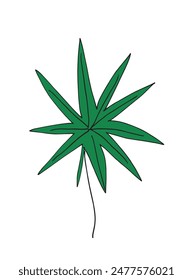 Outline illustration vector image of a palm leaf.
Hand drawn artwork of a palm leafs.
Simple cute original logo.
Hand drawn vector illustration for posters.