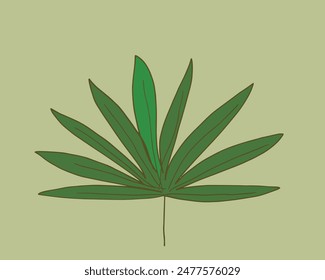 Outline illustration vector image of a palm leaf.
Hand drawn artwork of a palm leafs.
Simple cute original logo.
Hand drawn vector illustration for posters.