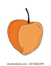 Outline illustration vector image of a peaches.
Hand drawn artwork of a peaches.
Simple cute original logo.
Hand drawn vector illustration for posters.