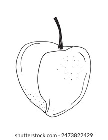Umriss Illustration Vektorgrafik Bild eines Pfirsichs.
Handgezeichnetes Kunstwerk eines Pfirsichs.
Einfaches, niedliches Original-Logo.
Handgezeichnete Vektorillustration für Poster.