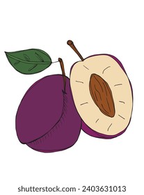 Outline illustration vector image of a plum.
Hand drawn artwork of a plums.
Simple cute original logo.
Hand drawn vector illustration for posters