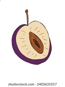 Outline illustration vector image of a plum.
Hand drawn artwork of a plums.
Simple cute original logo.
Hand drawn vector illustration for posters