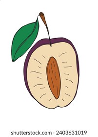 Outline illustration vector image of a plum.
Hand drawn artwork of a plums.
Simple cute original logo.
Hand drawn vector illustration for posters