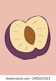 Outline illustration vector image of a plum.
Hand drawn artwork of a plums.
Simple cute original logo.
Hand drawn vector illustration for posters