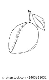 Outline illustration vector image of a plum.
Hand drawn artwork of a plums.
Simple cute original logo.
Hand drawn vector illustration for posters