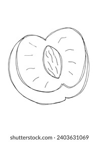 Ilustración de esquema de imagen vectorial de una ciruela.
Obra artística a mano de una ciruela.
Simple y lindo logo original.
Ilustración vectorial dibujada a mano para afiches