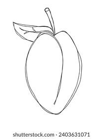 Outline illustration vector image of a plum.
Hand drawn artwork of a plums.
Simple cute original logo.
Hand drawn vector illustration for posters