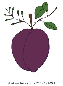 Outline illustration vector image of a plum.
Hand drawn artwork of a plums.
Simple cute original logo.
Hand drawn vector illustration for posters
