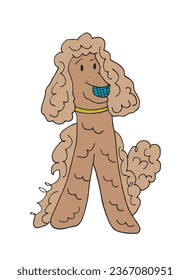 Outline illustration vector image of a poodle.
Hand drawn artwork of a poodle. 
Simple cute original logo.
Hand drawn vector illustration for posters, cards, t-shirts.