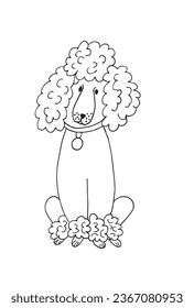 Outline illustration vector image of a poodle.
Hand drawn artwork of a poodle. 
Simple cute original logo.
Hand drawn vector illustration for posters, cards, t-shirts.