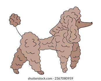 Outline illustration vector image of a poodle.
Hand drawn artwork of a poodle. 
Simple cute original logo.
Hand drawn vector illustration for posters, cards, t-shirts.