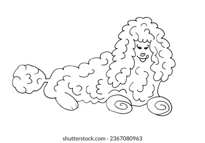 Outline illustration vector image of a poodle.
Hand drawn artwork of a poodle. 
Simple cute original logo.
Hand drawn vector illustration for posters, cards, t-shirts.