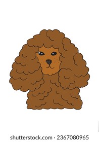 Outline illustration vector image of a poodle.
Hand drawn artwork of a poodle. 
Simple cute original logo.
Hand drawn vector illustration for posters, cards, t-shirts.