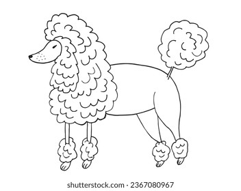 Outline illustration vector image of a poodle.
Hand drawn artwork of a poodle. 
Simple cute original logo.
Hand drawn vector illustration for posters, cards, t-shirts.