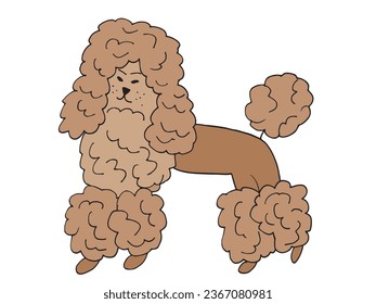 Outline illustration vector image of a poodle.
Hand drawn artwork of a poodle. 
Simple cute original logo.
Hand drawn vector illustration for posters, cards, t-shirts.