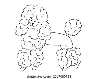 Outline illustration vector image of a poodle.
Hand drawn artwork of a poodle. 
Simple cute original logo.
Hand drawn vector illustration for posters, cards, t-shirts.