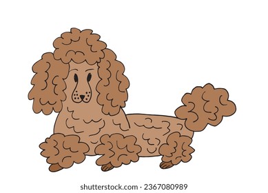 Outline illustration vector image of a poodle.
Hand drawn artwork of a poodle. 
Simple cute original logo.
Hand drawn vector illustration for posters, cards, t-shirts.