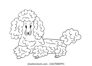 Outline illustration vector image of a poodle.
Hand drawn artwork of a poodle. 
Simple cute original logo.
Hand drawn vector illustration for posters, cards, t-shirts.