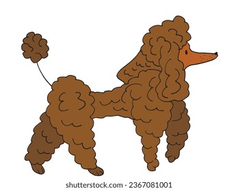 Outline illustration vector image of a poodle.
Hand drawn artwork of a poodle. 
Simple cute original logo.
Hand drawn vector illustration for posters, cards, t-shirts.