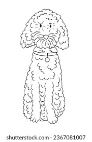 Outline illustration vector image of a poodle.
Hand drawn artwork of a poodle. 
Simple cute original logo.
Hand drawn vector illustration for posters, cards, t-shirts.