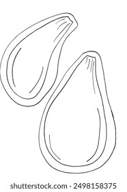 Outline illustration vector image of a pumpkin seeds.
Hand drawn artwork of a pumpkin seeds.
Simple cute original logo.
Hand drawn vector illustration for posters.