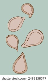 Outline illustration vector image of a pumpkin seeds.
Hand drawn artwork of a pumpkin seeds.
Simple cute original logo.
Hand drawn vector illustration for posters.