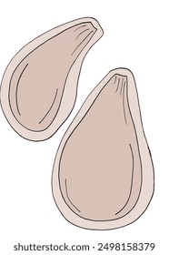 Ilustración de contorno Imagen de Vector de semillas de calabaza.
Dibujado a mano de una calabaza de semillas.
Logo original lindo simple.
Ilustración vectorial dibujada a mano para carteles.