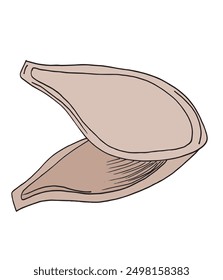 Outline illustration vector image of a pumpkin seeds.
Hand drawn artwork of a pumpkin seeds.
Simple cute original logo.
Hand drawn vector illustration for posters.