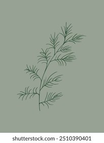 Outline illustration vector image of a rosemary.
Hand drawn artwork of a rosemary.
Simple cute original logo.
Hand drawn vector illustration for posters.
