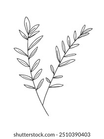 Outline illustration vector image of a rosemary.
Hand drawn artwork of a rosemary.
Simple cute original logo.
Hand drawn vector illustration for posters.