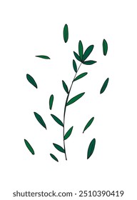 Outline illustration vector image of a rosemary.
Hand drawn artwork of a rosemary.
Simple cute original logo.
Hand drawn vector illustration for posters.