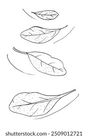 Imagem vetorial da ilustração do contorno de um estágio.
Arte desenhada à mão de um sábio.
Simples bonito logotipo original.
Ilustração vetorial desenhada à mão para cartazes.
