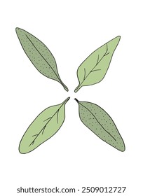 Imagem vetorial da ilustração do contorno de um estágio.
Arte desenhada à mão de um sábio.
Simples bonito logotipo original.
Ilustração vetorial desenhada à mão para cartazes.