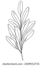 Imagem vetorial da ilustração do contorno de um estágio.
Arte desenhada à mão de um sábio.
Simples bonito logotipo original.
Ilustração vetorial desenhada à mão para cartazes.