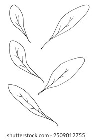 Imagem vetorial da ilustração do contorno de um estágio.
Arte desenhada à mão de um sábio.
Simples bonito logotipo original.
Ilustração vetorial desenhada à mão para cartazes.