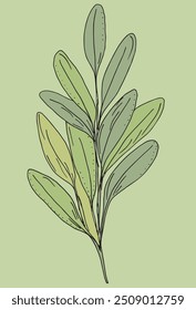 Imagem vetorial da ilustração do contorno de um estágio.
Arte desenhada à mão de um sábio.
Simples bonito logotipo original.
Ilustração vetorial desenhada à mão para cartazes.