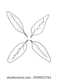 Imagem vetorial da ilustração do contorno de um estágio.
Arte desenhada à mão de um sábio.
Simples bonito logotipo original.
Ilustração vetorial desenhada à mão para cartazes.