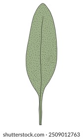 Imagem vetorial da ilustração do contorno de um estágio.
Arte desenhada à mão de um sábio.
Simples bonito logotipo original.
Ilustração vetorial desenhada à mão para cartazes.